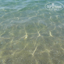 фото из отзыва ID 1251312