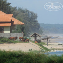 фото из отзыва ID 1250641