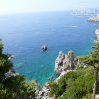 фото из отзыва ID 1251516