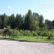 фото из отзыва ID 1251677