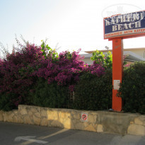 фото из отзыва ID 1252056