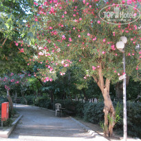 фото из отзыва ID 1252056