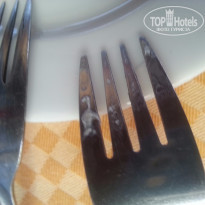 фото из отзыва ID 1252126