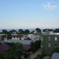 фото из отзыва ID 1252311