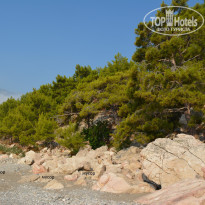 фото из отзыва ID 1252311