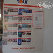 фото из отзыва ID 1252311