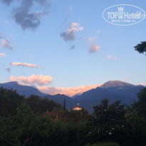 фото из отзыва ID 1252332