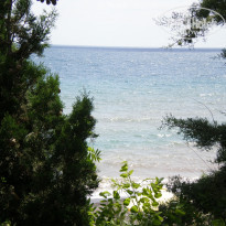 фото из отзыва ID 1252452