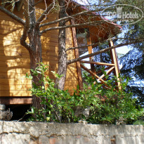 фото из отзыва ID 1252452