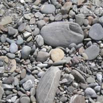 фото из отзыва ID 1252452