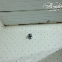 фото из отзыва ID 1252574