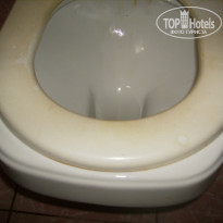 фото из отзыва ID 1252786