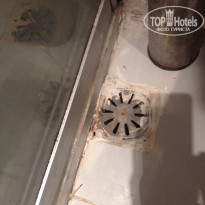 фото из отзыва ID 1252832