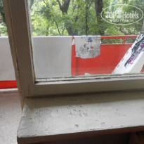 фото из отзыва ID 1253092