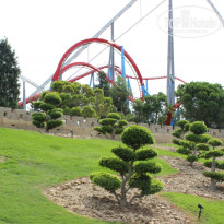 фото из отзыва ID 1253161