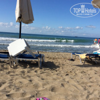 фото из отзыва ID 1253284