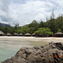 фото из отзыва ID 1253329