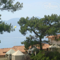 фото из отзыва ID 1253369