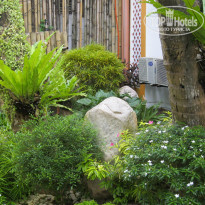 фото из отзыва ID 1253430