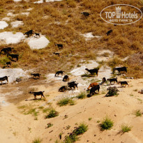 фото из отзыва ID 1253460