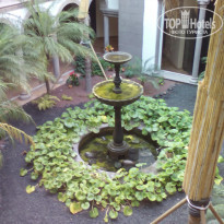 фото из отзыва ID 1253569