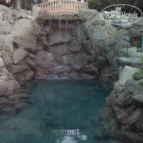 фото из отзыва ID 1253569