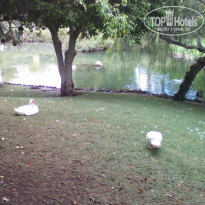 фото из отзыва ID 1253569