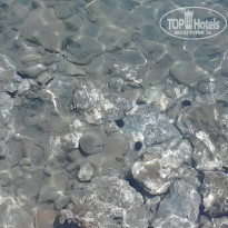 фото из отзыва ID 1253629