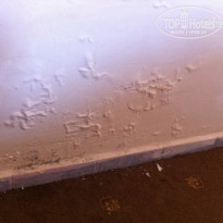 фото из отзыва ID 1253658