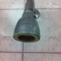 фото из отзыва ID 1253658