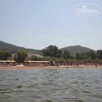 фото из отзыва ID 1253663