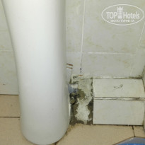 фото из отзыва ID 1253691