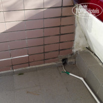 фото из отзыва ID 1253691