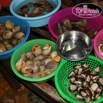 фото из отзыва ID 1254058