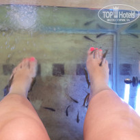 фото из отзыва ID 1254240