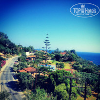 фото из отзыва ID 1254213