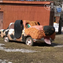 фото из отзыва ID 1254242