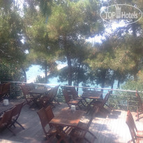 фото из отзыва ID 1254253