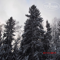 фото из отзыва ID 1254373