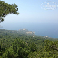 фото из отзыва ID 1250532