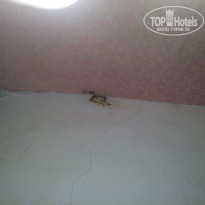 фото из отзыва ID 1254510