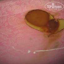 фото из отзыва ID 1254510