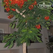 фото из отзыва ID 1254724