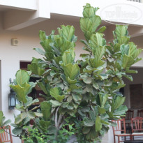 фото из отзыва ID 1254724