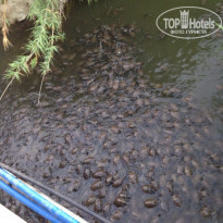 фото из отзыва ID 1254754