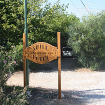 фото из отзыва ID 1254892