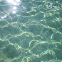 фото из отзыва ID 1254942