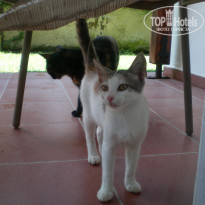 фото из отзыва ID 1254942