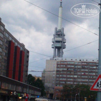 фото из отзыва ID 1254953