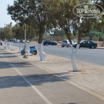 фото из отзыва ID 1254994